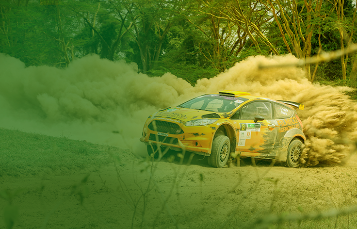 WRC Drivers Profiles 
