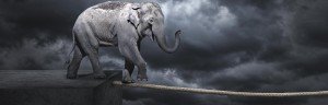 How becoming a risk taker can elevate you to the next level